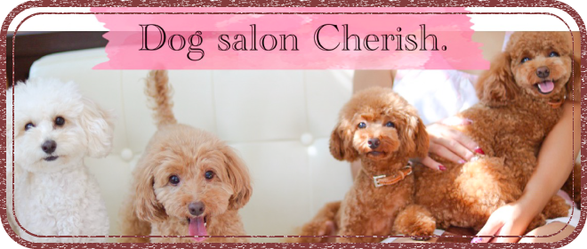 Dog salon Cherish.